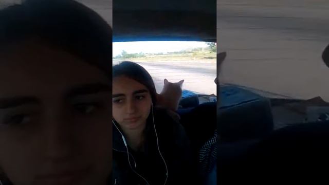 На дачу едем смотреть онлайн