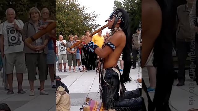 The Last Of The Mohicans On Flute hd смотреть онлайн