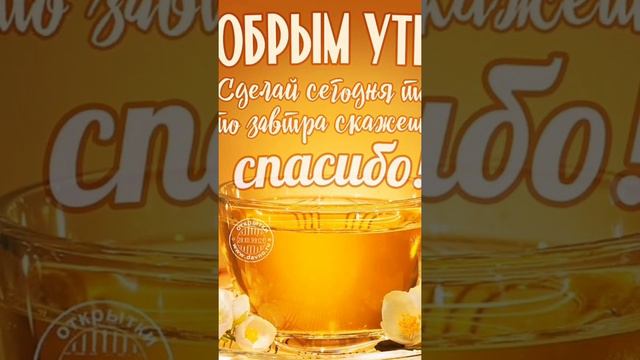 25 июля 2020 г. смотреть онлайн