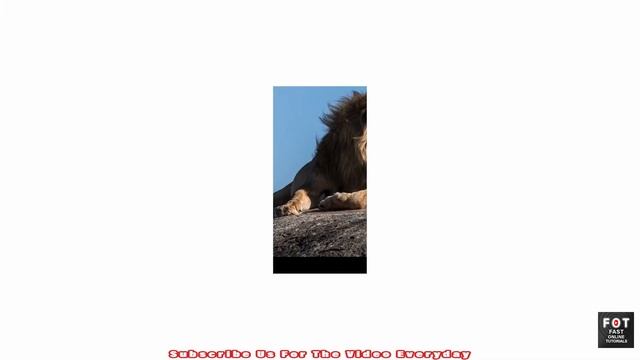 Only HTML & CSS Clip Path Image Hover Effect - FOT смотреть онлайн