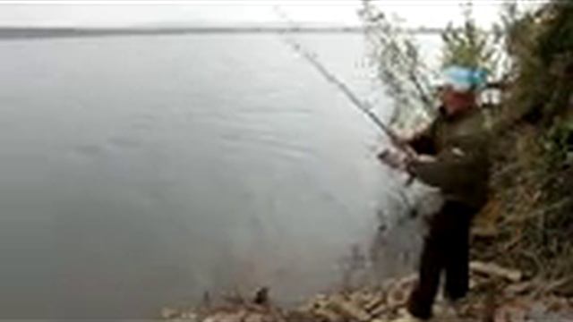 Ловля карпа на зиг-риг смотреть онлайн