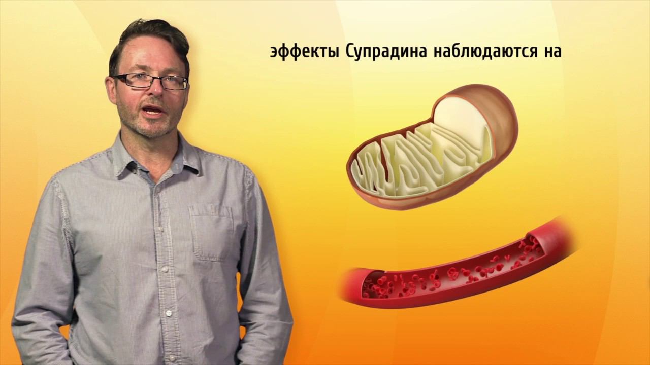 Супрадин. Адаптация смотреть онлайн