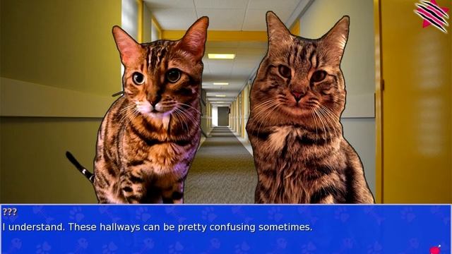 Cat President ~ A More Purrfect Union #1 - KITTENMANIA смотреть онлайн