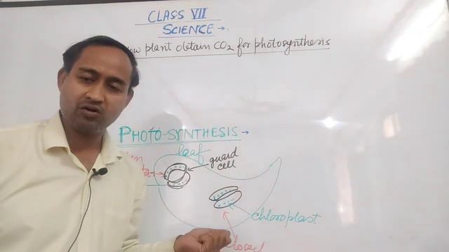 @csritagupta1909 Part-2@Nutrition in PlantsFull Chapter-1Class 7|NCERT ScienceLakhmir Singh's Scien смотреть онлайн