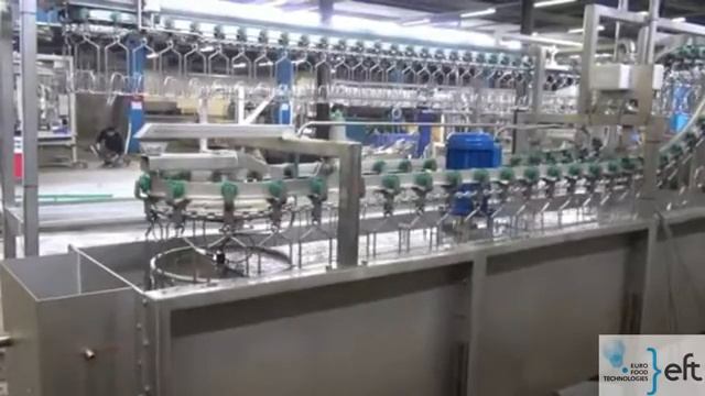 Use Poultry (Полтри) Линия убоя и потрошения птицы 500- 1000 тушек в час.mp4 смотреть онлайн