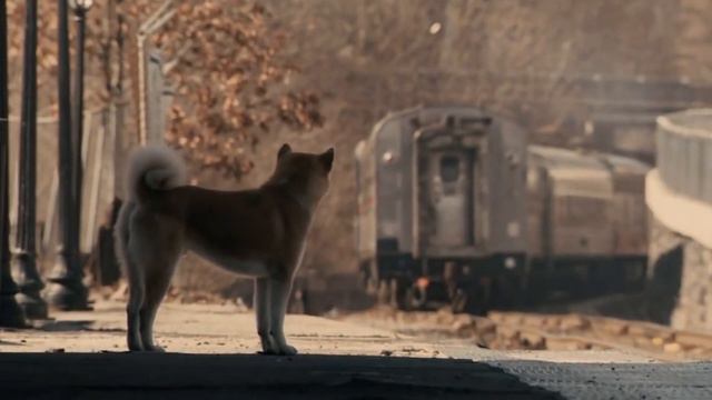 Jan A.P. Kaczmarek - Goodbye (OST Hachiko) classical guitar cover смотреть онлайн