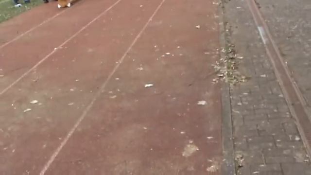 (26) Post SV Stade : Buxtehude смотреть онлайн