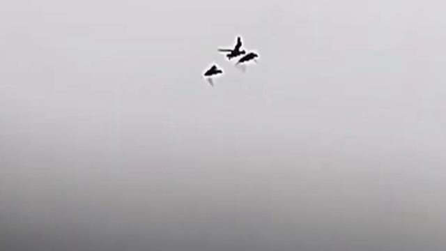 Vision thermique hikmicro lh25 смотреть онлайн