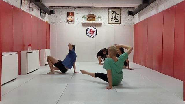 #animalflow пример флоу собранного в течении 60 минутной тренировки смотреть онлайн