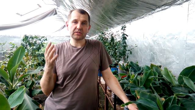 Строим #теплицу под #инжир смотреть онлайн