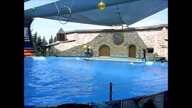 СОЧИ ДЕЛЬФИНАРИЙ. ДЕЛЬФИНЫ И БЕЛЫЙ ПОЛЯРНЫЙ КИТ ИВАН. смотреть онлайн