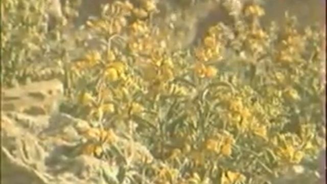 10. Рождество Богородицы смотреть онлайн