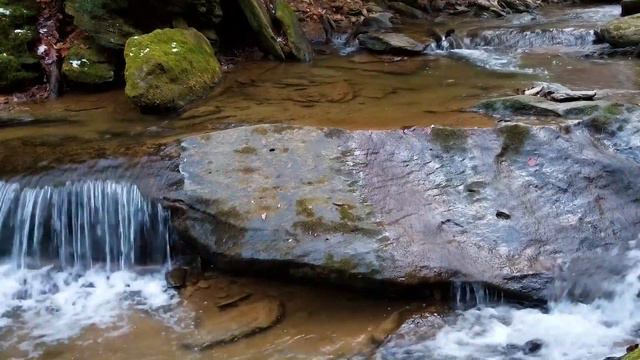 5 Minute Morning Affirmations - Start Your Day off Right - Affirmations for A Good Day смотреть онлайн