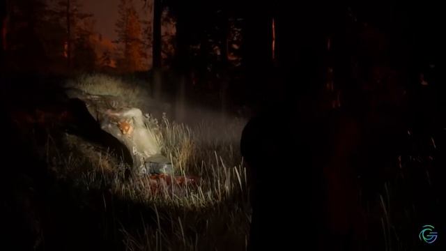 Строго к ознакомлению! Alan Wake 2 - Впечатления от игры смотреть онлайн