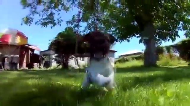 Юта Джек расел смотреть онлайн
