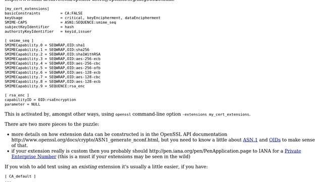 DevOps & SysAdmins: Openssl Custom Extension (2 Solutions!!) смотреть онлайн