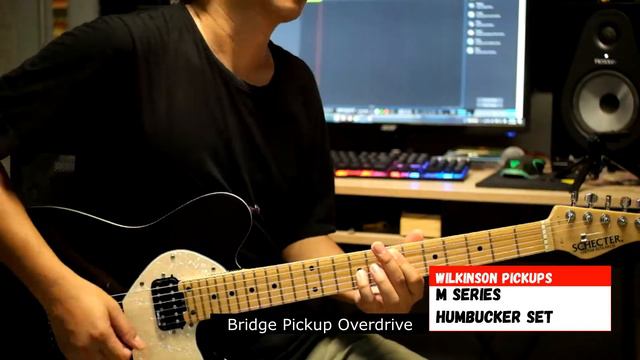 Wilkinson M Series WOH Humbucker Set