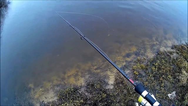 Положение силиконовой приманки в стоячей воде смотреть онлайн