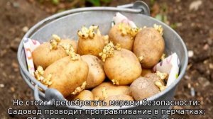 Престиж для обработки картофеля