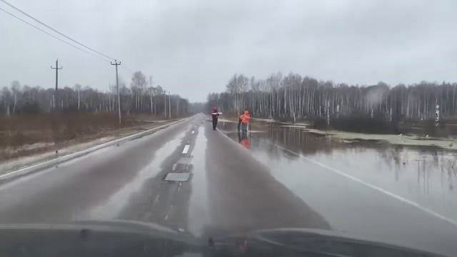 Подтопление дороги между Новониколаевкой и снт Альбатрос (Орехово-Зуевский район) смотреть онлайн