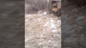 Девочка бьет мальчика