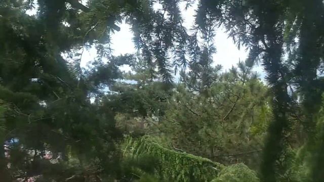 Лазаревское Вид с балкона гостевого дома БЫЛИ ЖИЛИ Сочинское шоссе 4 смотреть онлайн