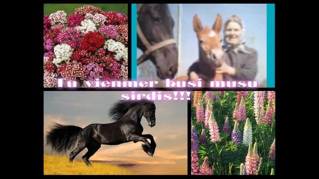 VELTIJUMS VECMAMMAI VARDA DIENA 01.06 смотреть онлайн