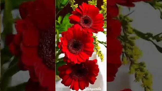 ХОРОШЕГО ПОНЕДЕЛЬНИКА.. смотреть онлайн