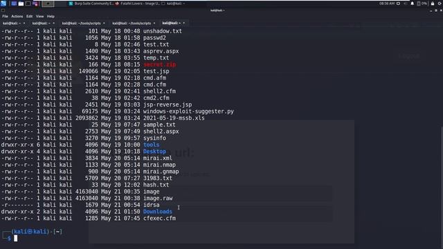 HackTheBox - FALAFEL смотреть онлайн