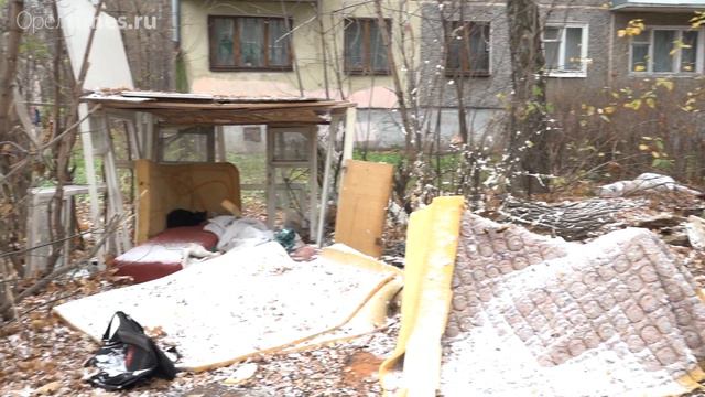 Орловский бомж построил шалаш во дворе жилого дома смотреть онлайн