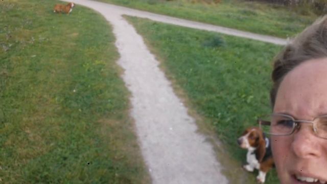 Wiese in Pinneberg смотреть онлайн
