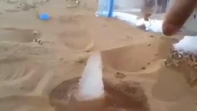 Чудо в пустыне !!! смотреть онлайн