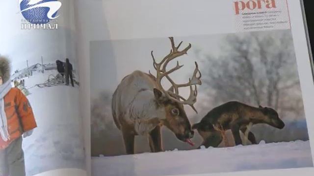 15 02 18 библиотека для инвалидов смотреть онлайн