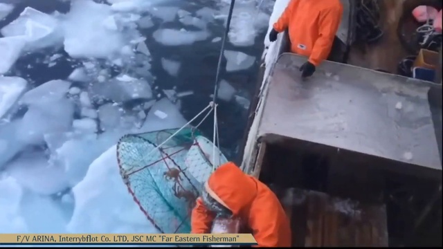 Видео. Добыча краба, судно крабового промысла АРИНА, «Интеррыбфлот», Охотское море 2018 год смотреть онлайн