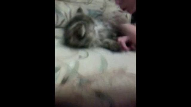 Прикольчик с тусиком