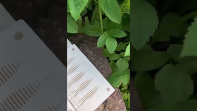 Форма для литья силиконовых приманок-Killer Lip 2 дюйма. Ребра 0,8 мм #fishing #рыбалка #рыбалка202 смотреть онлайн