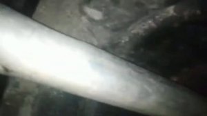 Замена сцепления Пежо 206.