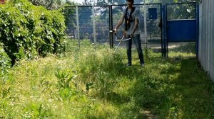 Триммер DENZEL DGT-520