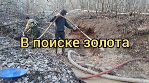 В поиске золота