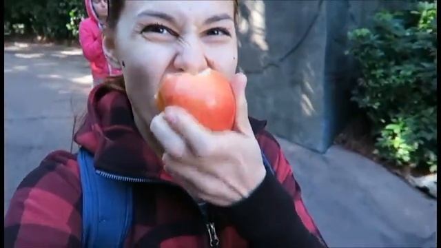 Travelogue | США | День 3 - Орландо смотреть онлайн