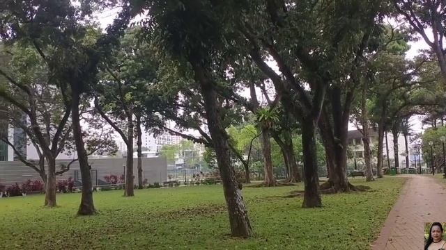 TAVISTOCK AVENUE PARK смотреть онлайн