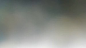 Замена топливных фильтров тойота витц