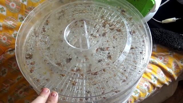 Дом и Семья