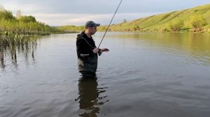 Nautilus Fugu. Весенний спиннинг на реке. Ловим на воблеры