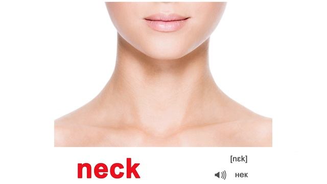 АНГЛИЙСКИЙ ЯЗЫК для детей. АНГЛИЙСКИЕ СЛОВА  «Body Parts» (ЧАСТИ ТЕЛА) по методике Домана