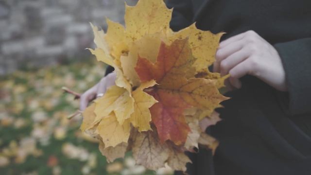Стихи про любовь //Осенью все исправим // Маруся Привольная смотреть онлайн