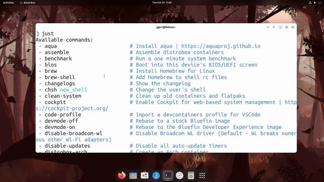Bluefin Linux Introduction