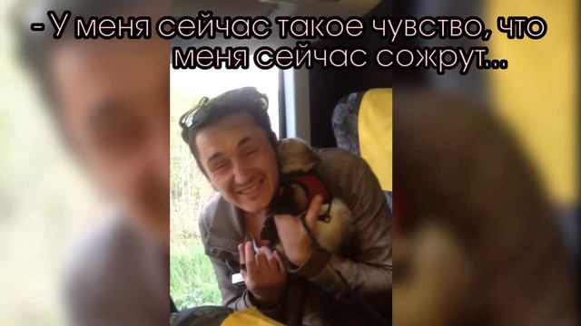 Хорек Васек сожрал Смирновского смотреть онлайн