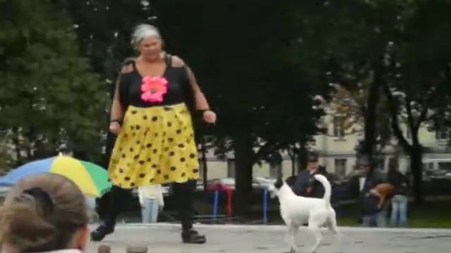 дама с собачкой смотреть онлайн