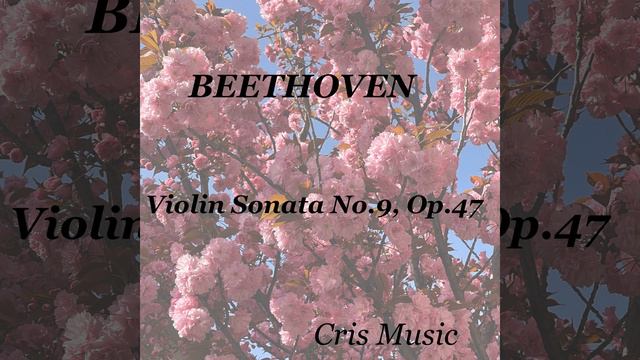 Violin Sonata No.9, Op.47: 2. Andante con variazioni смотреть онлайн